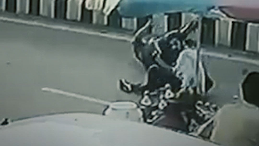 बदमाश ने सब इंस्पेक्टर पर चलाई गोली