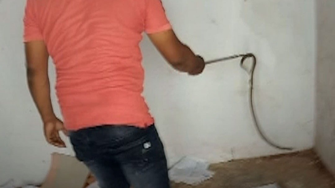 स्नेक रेस्क्यूअर की सांप काटने से मौत