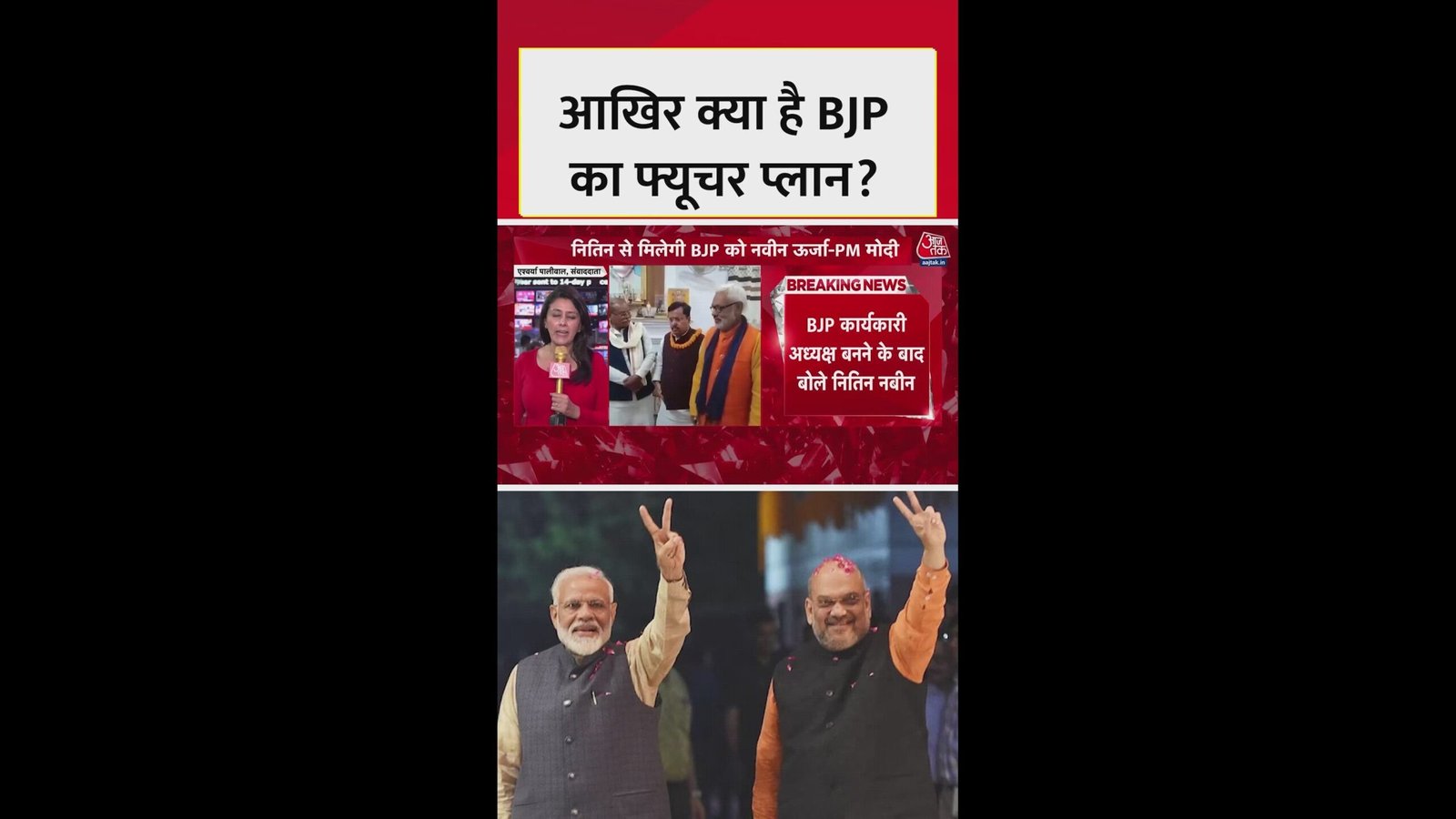 आखिर क्या है BJP का फ्यूचर प्लान?