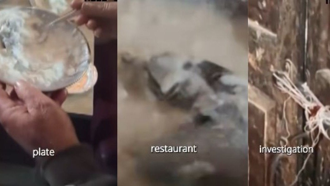 गाजीपुर के रेस्तरां में दही में मरा चूहा मिलने पर प्रशासन ने उसे तुरंत सील कर दिया. (Photo: India Today)