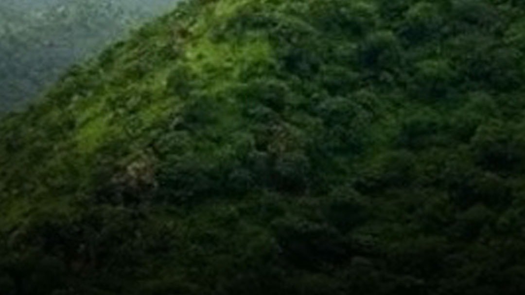 Explained: Aravalli की नई परिभाषा पर विवाद, कई राज्यों में प्रदर्शन