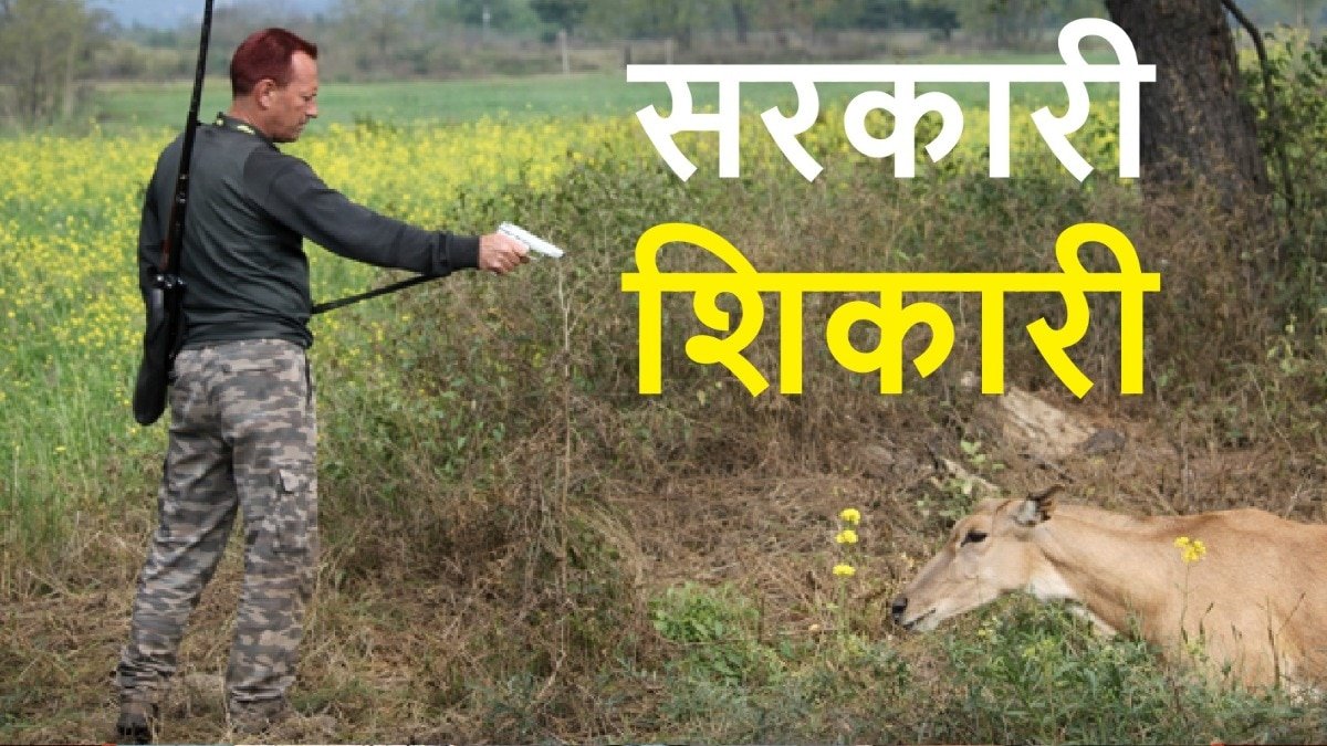 नीलगाय के शिकार का सिलसिला बिहार में जारी है (फोटो-ITG)