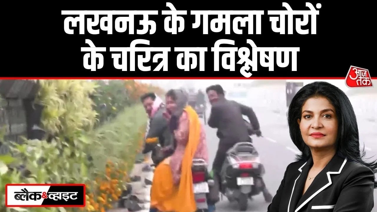 लखनऊ में राष्ट्र प्रेरणा स्थल से गमलों की लूट, आखिर क्यों सरकारी सामान की चोरी से बाज नहीं आते लोग?