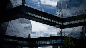 AI is going rogue. Who should be held responsible?